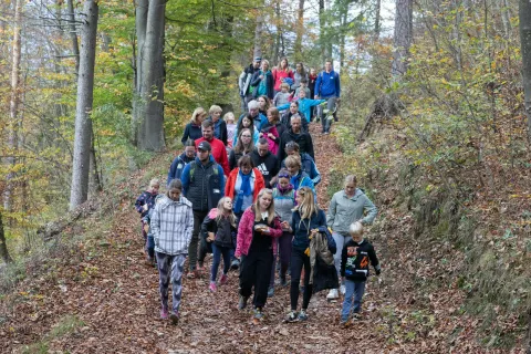 Pot večinoma poteka po gozdu. Že na odprtju je bilo zanjo veliko zanimanja. / Foto: Peter Ko&scaron;enina