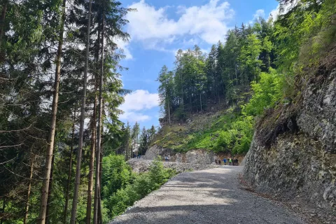 Nekateri deli gozdne ceste pričajo o tem, da je bila njena izgradnja izjemno zahtevna. / Foto: Alenka Brun