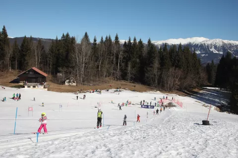 smučišče Zatrnik Pokljuka smučanje otroci družinam prijazno smučišče / Foto: Gorazd Kavčič