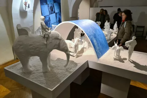 jaslice mekinje / Foto: Alenka Brun