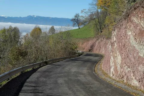 Cesta iz Tupalič na Možjanco / Foto: Tina Dokl