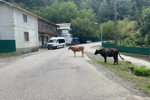  1 gruzija / Foto: Neža Markelj