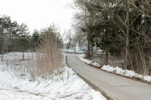 Lipce zeleni del Lesc industrijska cona / Foto: Tina Dokl