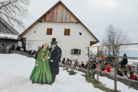 Pre&scaron;ernov dan Vrba za splet / Foto: Tina Dokl