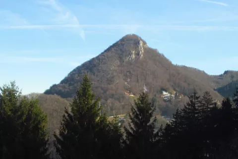 Grmada s poti na Vipoto. / Foto: Jelena Justin