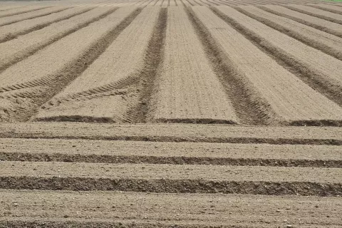 S komasacijami bodo razdružili tudi zemljiške komplekse, ki so nastali z denacionalizacijo. (Slika je simbolična.) / Foto: Cveto Zaplotnik