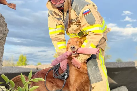 David Pogačnik s svojim pasjim sodelavcem Malijem / Foto: osebni arhiv Davida Pogačnika