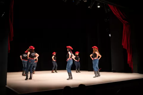 plesna revija HOPLA 2023 / Foto: Primož Pičulin