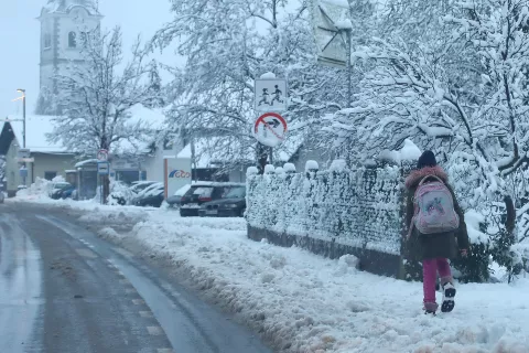 V nižinah Gorenjske bi lahko v nedeljo zapadlo od pet do deset centimetrov snega. / Foto: Gorazd Kavčič
