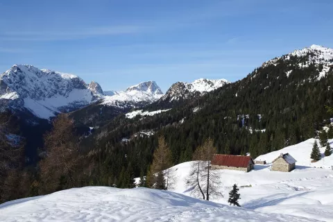 Pogled na planino For. Zadaj Konjski špik in Veliki Koritnik. / Foto: Jelena Justin