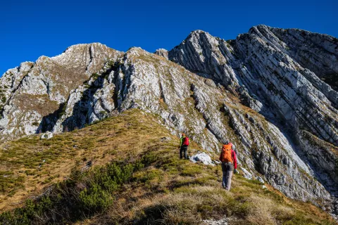 Kamni&scaron;ka gornika med Julijci in Dolomiti