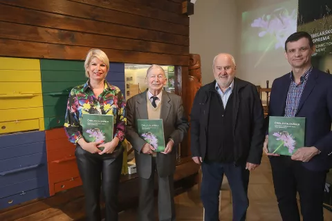 predstavitev knjiga o Čmrljih Čebelarski muzej Radovljica opra&scaron;evanje čmrlj / Foto: Gorazd Kavčič