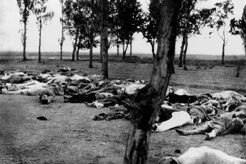 Trupla Armencev, ki so jih pobili Turki in jih pustili ležati ob cesti. V letih 1915-1918 so Turki pobili poldrugi milijon Armencev. / Foto: Wikipedija 