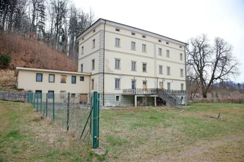 Slikoviti grad Podvin v Mošnjah, kjer je pred dobrimi tridesetimi leti nastal prvi osnutek slovenske ustave, je v zadnjih desetletjih nezadržno propadal. Novi lastniki so pred veliko nočjo očistili zaraščajočo se okolico. / Foto: Gorazd Kavčič / Foto: 
