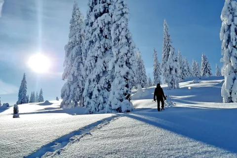 Prostrane snežne planjave lahko raziskujemo ves dan. / Foto: 