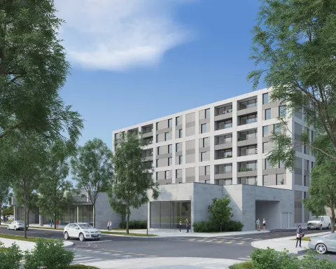 Nica, Nova Gorica / Foto: Stoja Trade