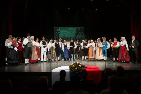 FS Sava Kranj &ndash; koncert ob 75. letnici / Foto: Primož Pičulin