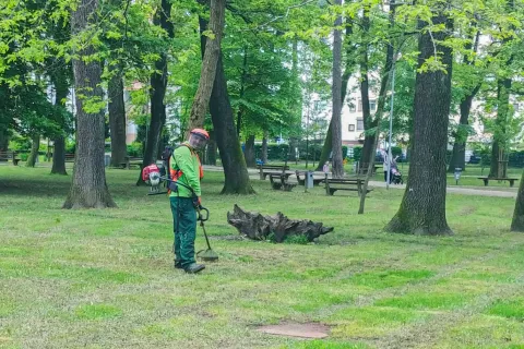 Podjetje Želva ima poslovno enoto tudi v &Scaron;kofji Loki. Trenutno imajo 18 zaposlenih, od tega deset invalidov. / Foto: Arhiv Podjetja