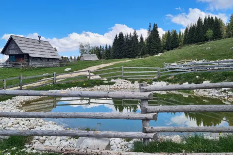 Stoletnica kot priložnost za razmislek
