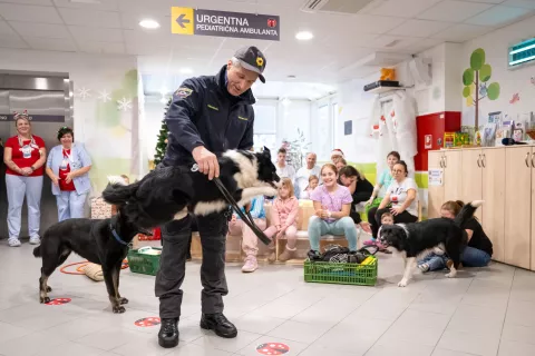 Živahna Neli, nežni Sky in umirjena Ora so navdu&scaron;ili z vragolijami. / Foto: Nik Bertoncelj
