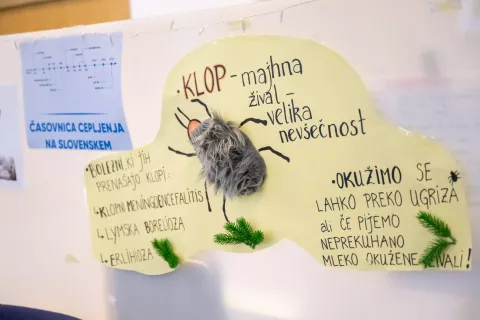 Dan odprtih vrat Zdravstveni dom Jesenice, Dan varnosti pacientov, klop / Foto: Nik Bertoncelj