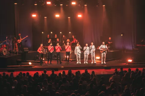 Kvatropirci in Čuki / Foto: Arhiv Organizatorja (Žan Zajc, Innea Studio)