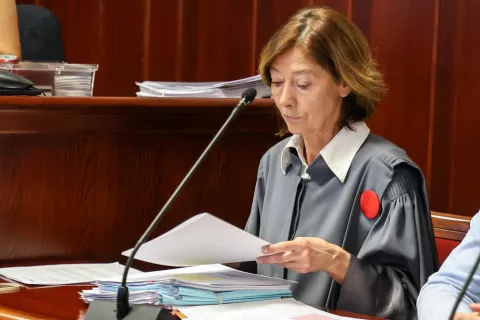 sodišče sojenje v zadevi Skrinjar, Trivič na fotografiji Nadja Gasser tožilka / Foto: Tina Dokl