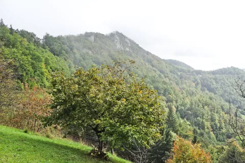 Prvi vrh, ali pa predvrh, če želite. / Foto: Jelena Justin