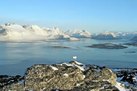 Značilna pokrajina na jugu Grenlandije. Fotografija je bila posneta v jasnem decembrskem jutru leta 2005. / Foto: Wikipedija