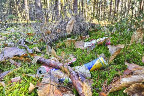 Naši gozdovi so kljub vsakoletnemu čiščenju polni odpadkov. / Foto: Simon Šubic