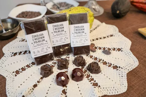 Festival čokolade Radovljica novinarska / Foto: Tina Dokl