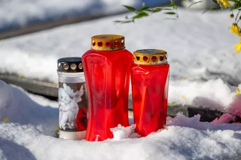 Spominski park bo obiskovalcem ponujal možnost diskretnega umika od neposrednih materialnih obeležij, nagrobnikov in napisnih plošč. Fotografija je simbolična. / Foto: Nik Bertoncelj