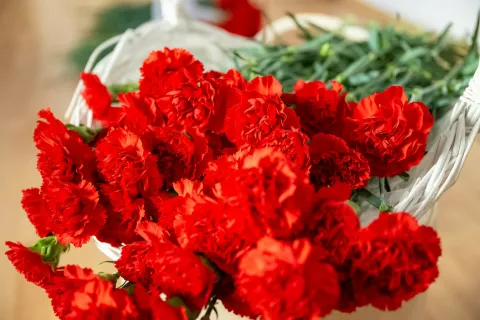 Deljenje cvetje ob dnevu žena - vsakoletna akcija Mladinskega centra Jesenice / Foto: Nik Bertoncelj