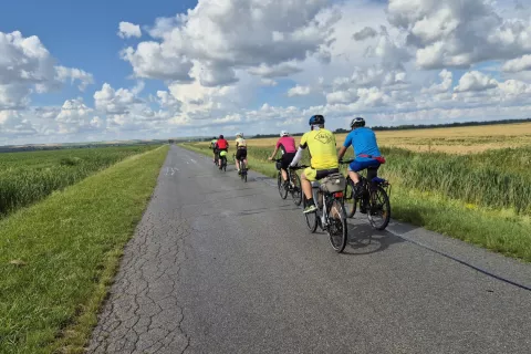   / Foto: Grega Flajnik