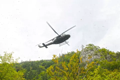    / Foto: Primož Pičulin