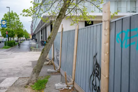  3 / Foto: Nik Bertoncelj