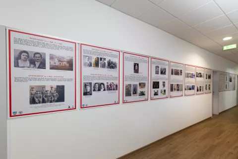 Na hodniku Občine Železniki je na ogled razstava Borci za severno mejo iz Selške doline 1918/1919. / Foto: Simon Benedičič