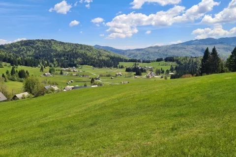 Predavanje o podnebnih spremembah in varovanju biodiverzitete bo v torek, na dan Zemlje, v Bohinjski hiši. / Foto: Marjana Ahačič