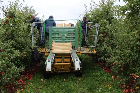 Vrednotnico je možno pridobiti tudi za pomoč pri kmetijskih delih. Slika je simbolična. / Foto: Cveto Zaplotnik