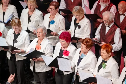 Pokrajinsko srečanje upokojenskih pevskih zborov na JesenicahNa fotografiji MePZ DU Tržič / Foto: Nik Bertoncelj