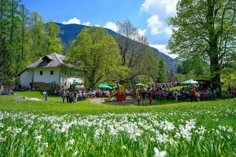 Budnica Jesenice in prvomajsko srečanje na Pristaviza splet / Foto: Nik Bertoncelj