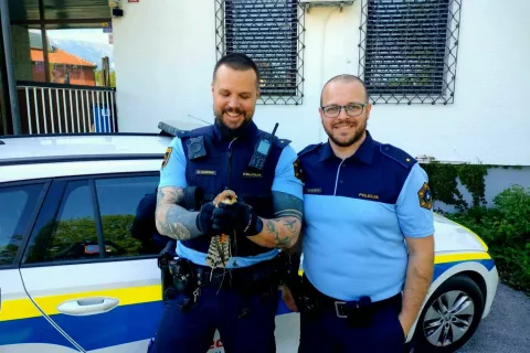 Policisti so pomagali ranjenemu majhnemu sokolu. / Foto: Arhiv Pu Kranj
