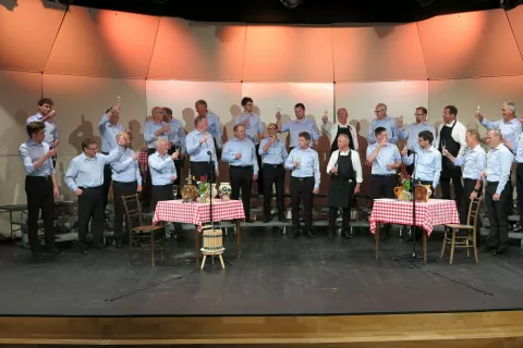 Komorni moški pevski zbor Davorina Jenka, koncert napitnic / Foto: Ana Jagodic Dolžan