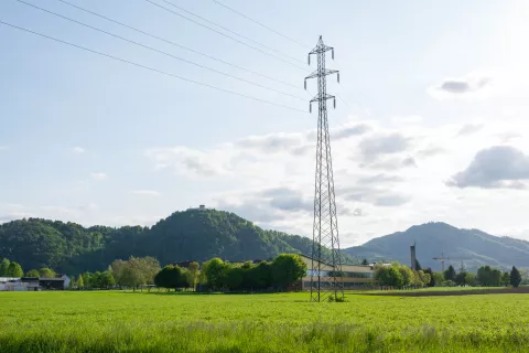 Na javnih zemljiščih, ki so predvidena za gorenjsko regijsko bolnišnico, bodo najprej izvedli arheološke raziskave, zato jih letos kmetom niso dali več v najem, so pojasnili na Mestni občini Kranj. / Foto: Primož Pičulin