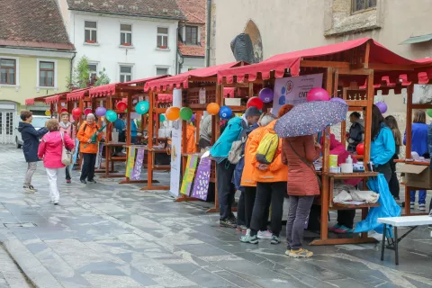 Z lanske Parade učenja v Kranju / Foto: Tina Dokl