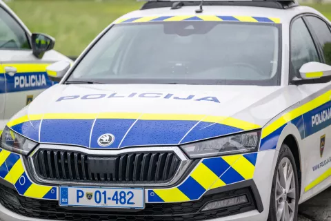 Simbolična fotografija Policija / Foto: Nik Bertoncelj