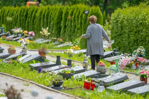 Posebnost pokopališča na Blejski Dobravi je tudi v tem, da je eno redkih v državi, ki ima posebni del, ki je namenjen pokojnikom islamske vere. / Foto: Nik Bertoncelj