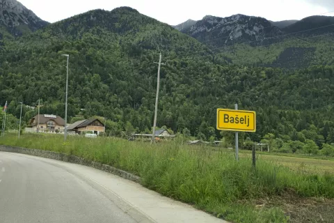 simbolna, bašelj / Foto: Alenka Brun