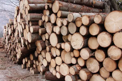 Predlagane spremembe zakona o gozdovih uvajajo tudi trajna skladišča gozdnih lesnih sortimentov. / Foto: Cveto Zaplotnik