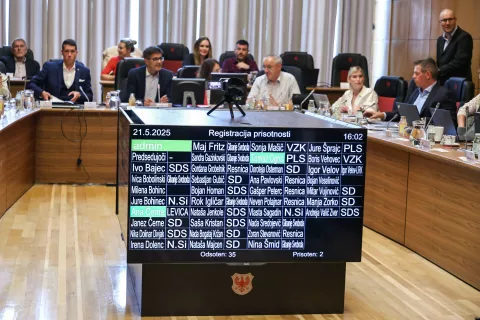 Seja kranjskega mestnega sveta / Foto: Tina Dokl